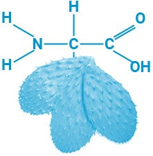 amino-acids